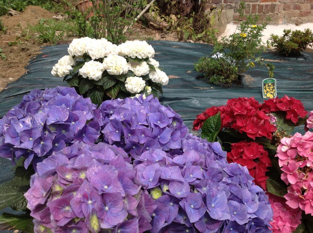 Bed and Breakfast La Gourmandine Eslettes Екстер'єр фото