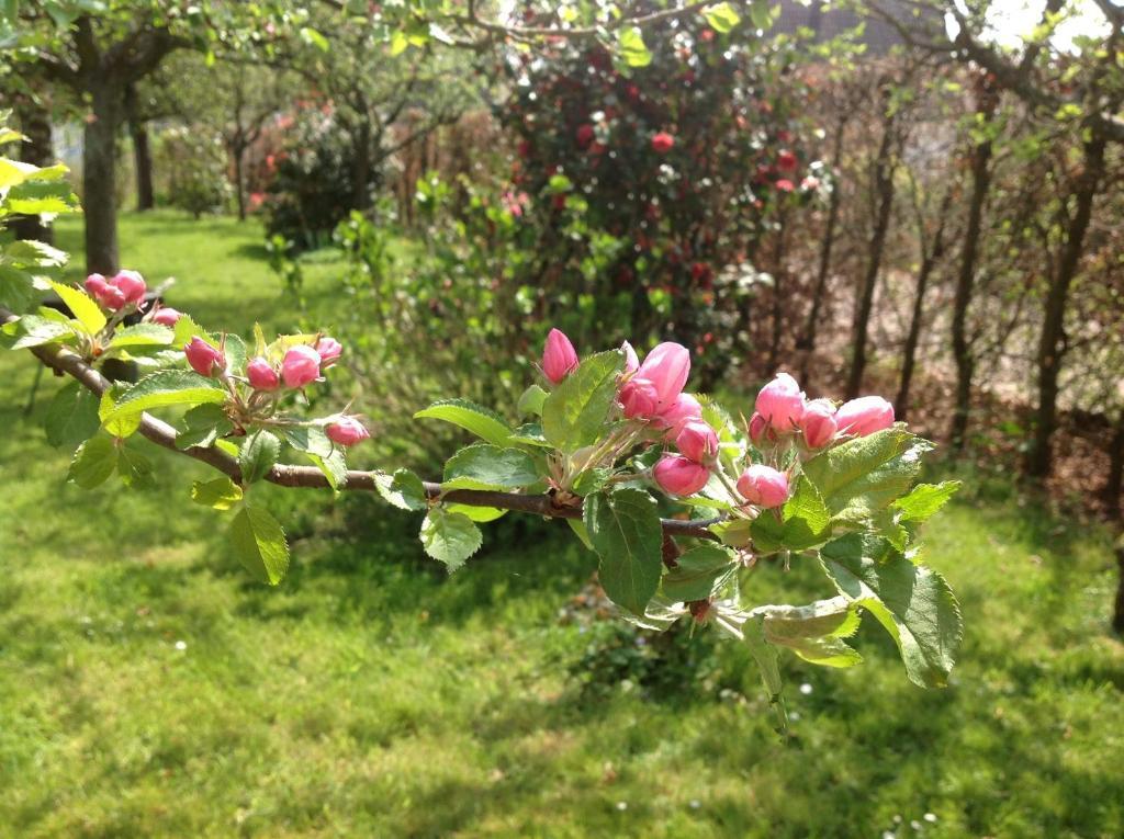 Bed and Breakfast La Gourmandine Eslettes Екстер'єр фото
